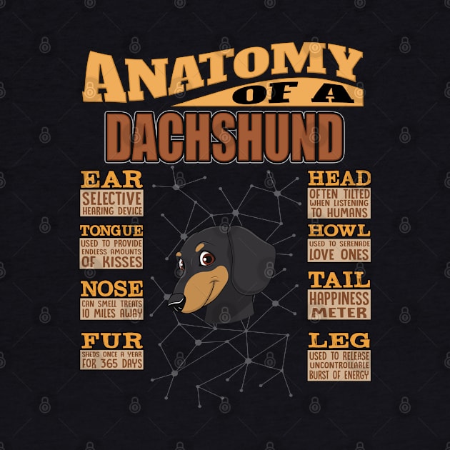 Anatomy Of A Dachshund - Dachshund Wiener,weiner,Dackel, Doxie, Weenie Dog, Wiener Dog,Hotdog, Sausage Dog,face, by HarrietsDogGifts